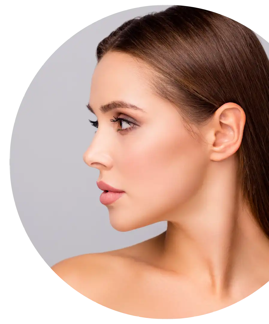 Polynucleotides model